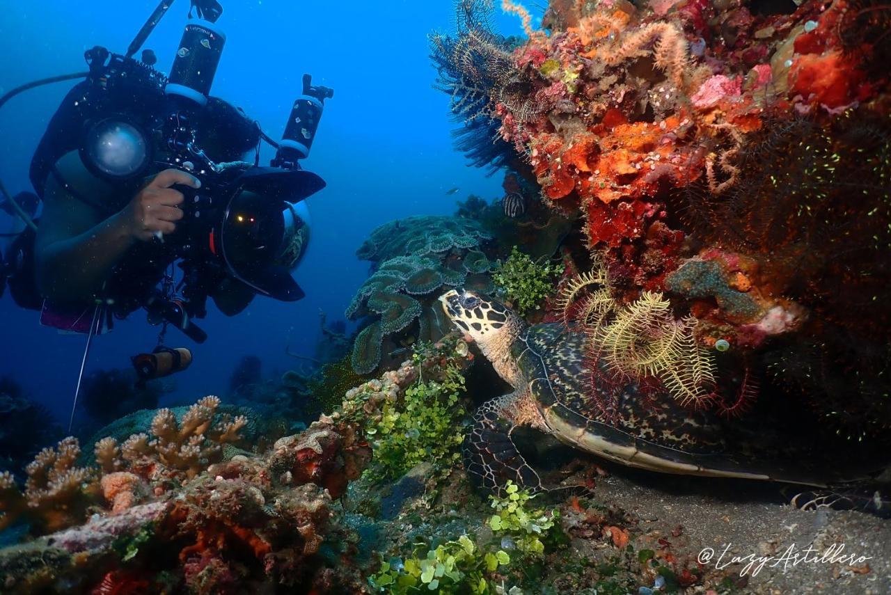 La Tortue Diving Resort داوين المظهر الخارجي الصورة