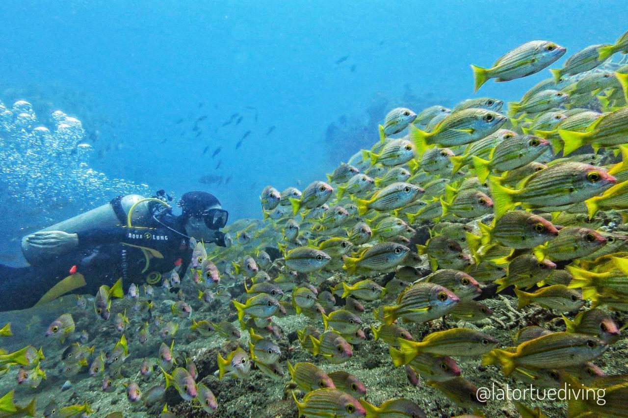 La Tortue Diving Resort داوين المظهر الخارجي الصورة