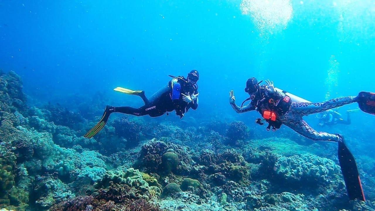 La Tortue Diving Resort داوين المظهر الخارجي الصورة