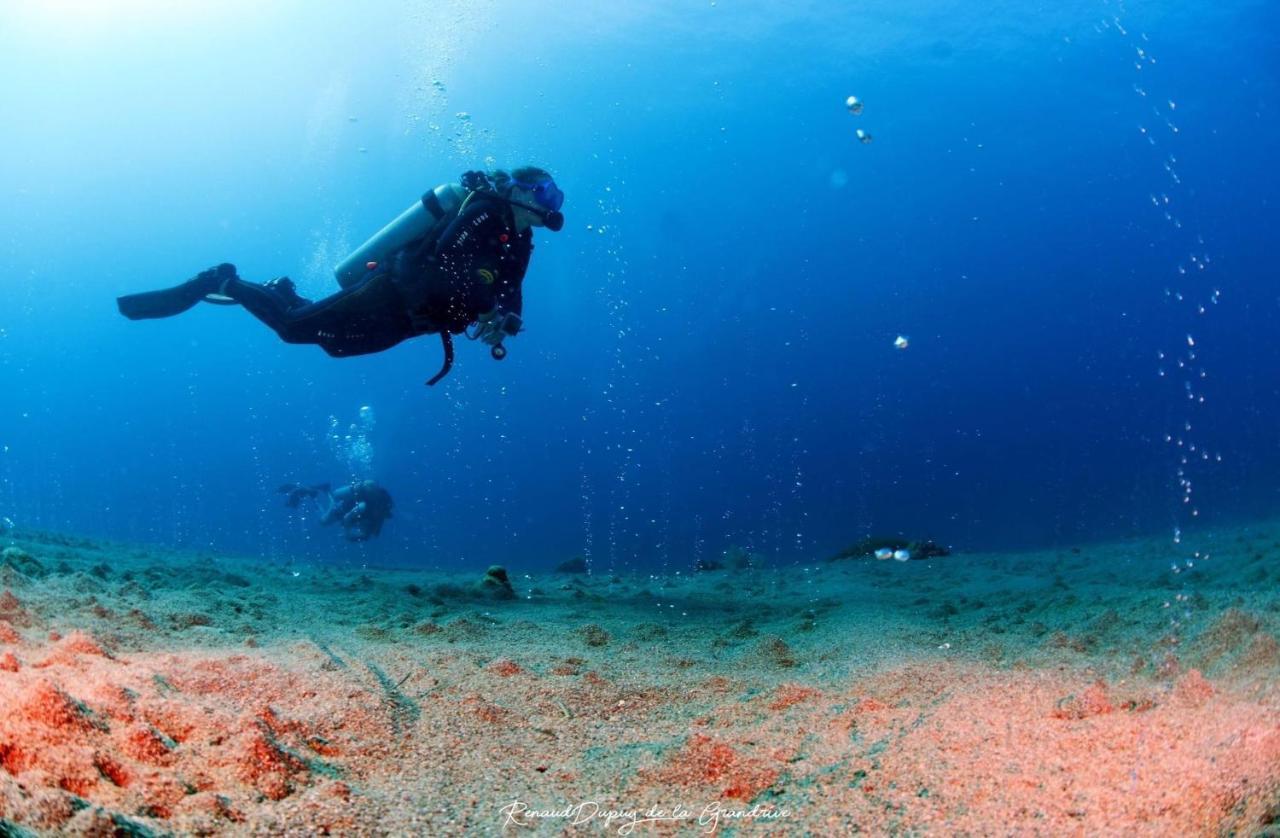 La Tortue Diving Resort داوين المظهر الخارجي الصورة